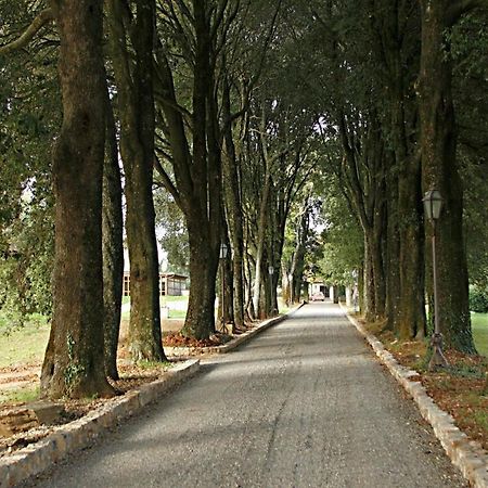 Borgo Mucellena Casa de hóspedes Casole dʼElsa Exterior foto